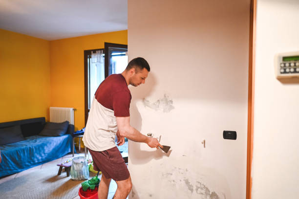 Best Commercial Mold Removal  in West Rancho Dominguez, CA
